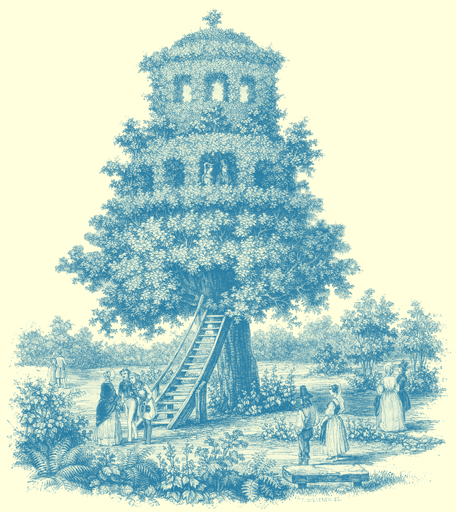 Black and white engraving, signed by F. Weisener, of large tree shaped into a tree house or arbre-belveder, with two stories.  Two people are on the first story at one window.  There is a stairway, wooden, from the ground to the start of the leaves.  Several people, male and female are on the ground in the fashions of the period, 1843.