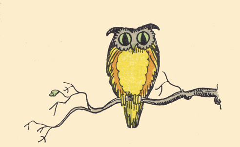 An engraving, in color, by Claud Lovat Fraser, of an owl perched on a branch.