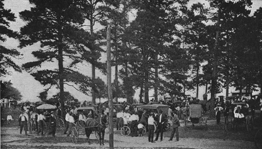 A black and white old photograph of a farmers' meeting under the trees, with their horse-and-buggies.