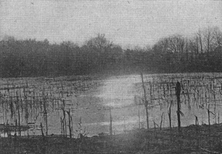 A black and white old photograph of a flooded field or pasture.