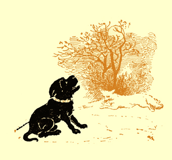 Black and white illustration, by Moyr Smith, of a sitting dog, with a rope attached to a collar, barking in front of a tree. A fox is running between him and the tree.