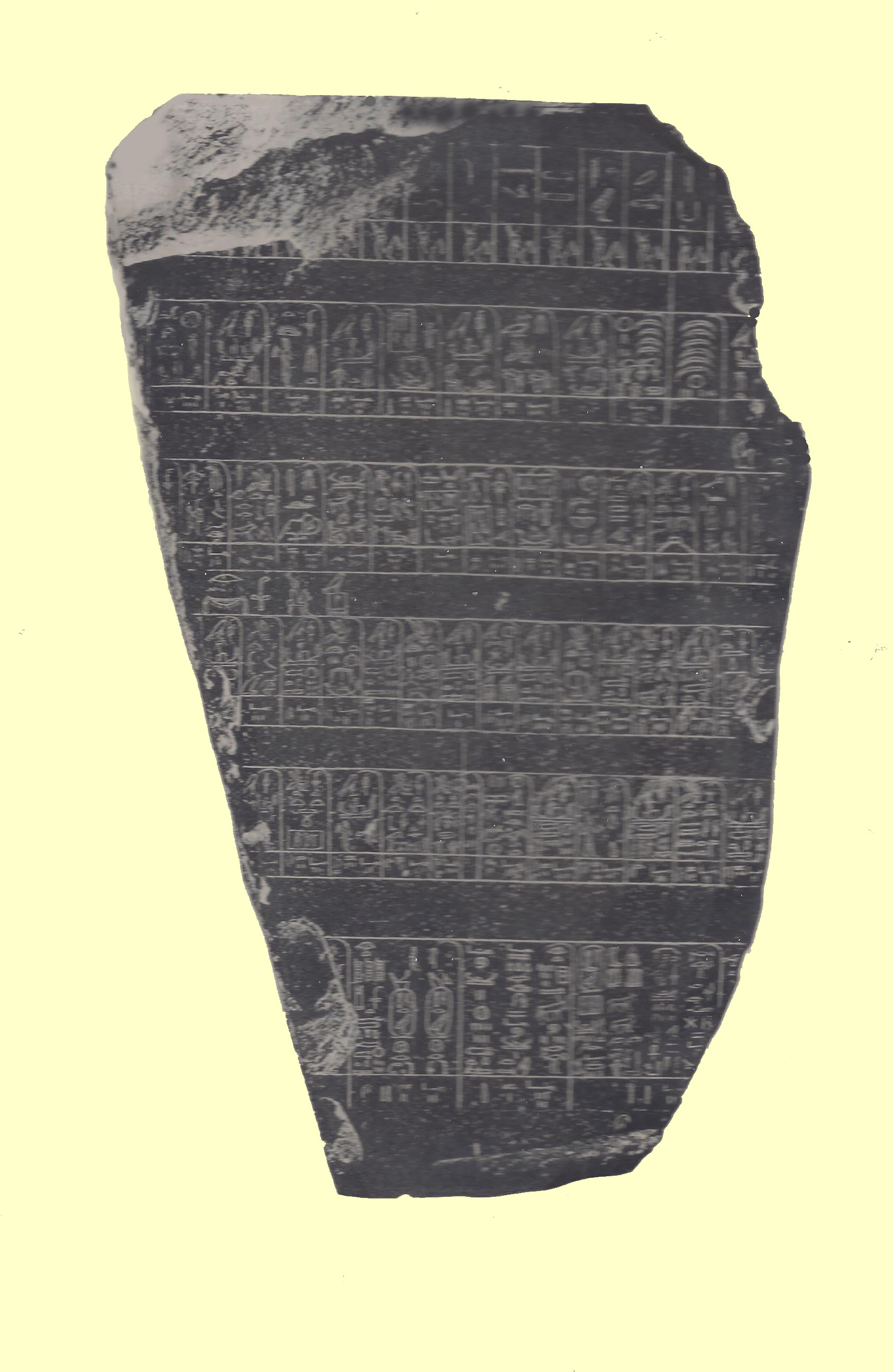 Black and white picture of the Palermo Stone-an irregularly shaped piece of black shiny stone with incised letters and symbols.