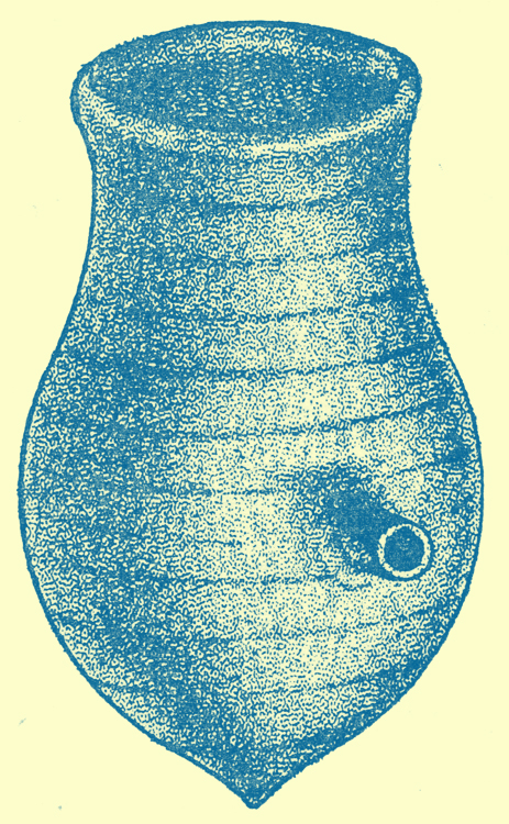 An Engraving of the acoustic jar from St. Laurent en Caux, Normandy.