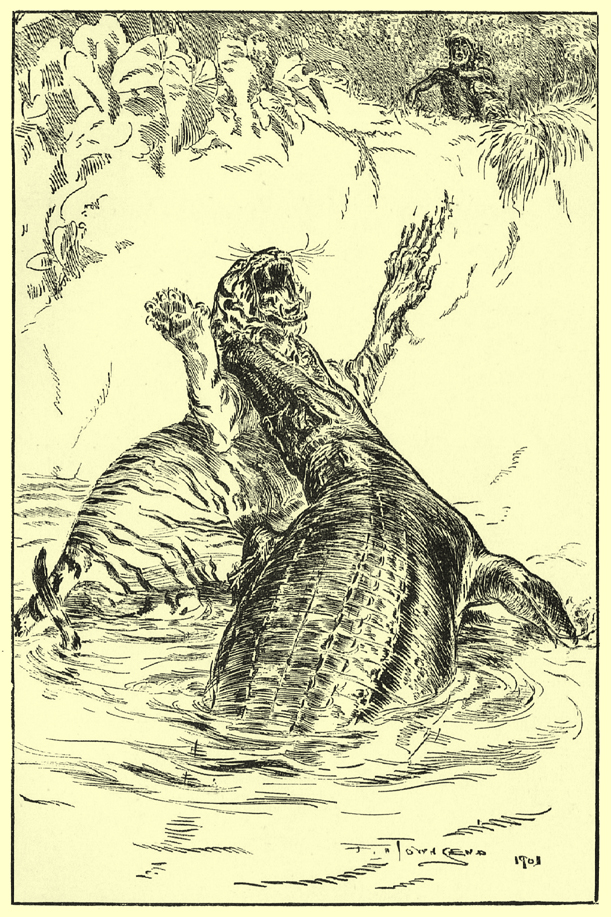 Black and white pen and ink drawing by F. H. Townsend, of a tiger in a river, being bitten on the throat by a crocodile.  A man looks on in horror from the river bank, he is holding a boy in his arms.