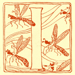 Decorated letter I