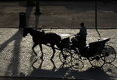 A black and white photograph of a horse and carriage with its driver on a cobblestone street at dusk.  The shadows of the spoked wheels, echoed on the cobblestones, add to the textural delight of this evening silhouette. Photo taken at Rome, by Sergey Sosnovskiy